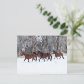 Pferdeherde, die in Winterschnee laufen Postkarte (Stehend Vorderseite)