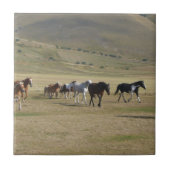 Pferdeherde Fliese (Vorderseite)