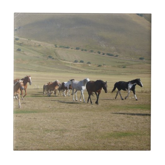 Pferdeherde Fliese (Vorderseite)