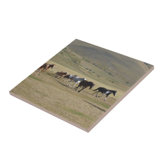 Pferdeherde Fliese (Seite)