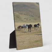 Pferdeherde Fotoplatte (Seite)
