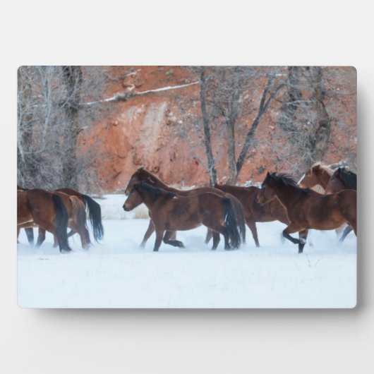 Pferdeherde im Schnee Fotoplatte (Vorderseite)