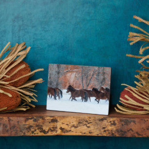 Pferdeherde im Schnee Fotoplatte