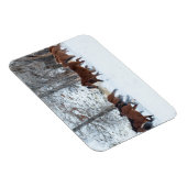 Pferdeherde im Schnee Magnet (Rechte Seite)