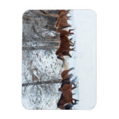 Pferdeherde im Schnee Magnet (Vertikal)