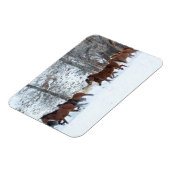 Pferdeherde im Schnee Magnet (Linke Seite)