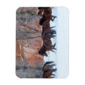 Pferdeherde im Schnee Magnet (Vertikal)