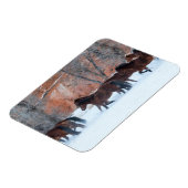 Pferdeherde im Schnee Magnet (Linke Seite)