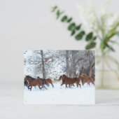 Pferdeherde im Schnee Postkarte (Stehend Vorderseite)