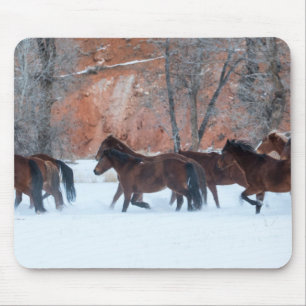 Pferdeherde läuft im Schnee Mousepad
