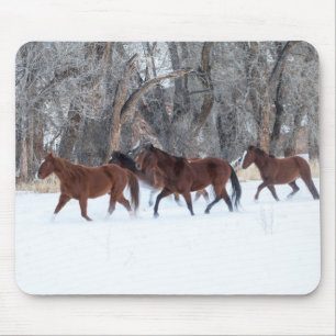 Pferdeherde läuft im Winterschnee Mousepad