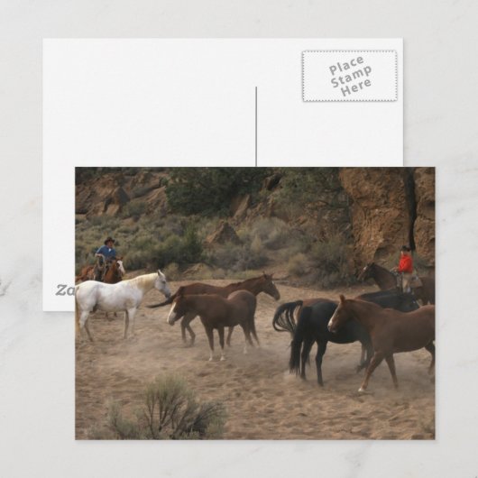 Pferdeherde Postkarte (Vorne/Hinten)
