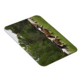 Pferdeherde, Tennessee Magnet (Rechte Seite)