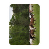 Pferdeherde, Tennessee Magnet (Vertikal)