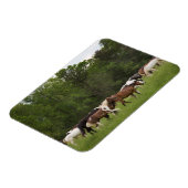 Pferdeherde, Tennessee Magnet (Linke Seite)