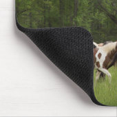Pferdeherde, Tennessee Mousepad (Ecke)