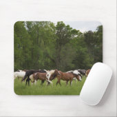 Pferdeherde, Tennessee Mousepad (Mit Mouse)