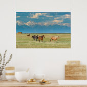 Pferdehöre in Hayfield Poster (Küche)