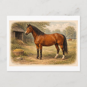 Pferdeillustration im Vintage-Stil Postkarte