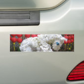 Pferdejahr | 春 節 馬 ... Thema chinesische Blume Autoaufkleber (Auf Auto)