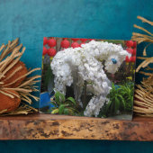 Pferdejahr | 春 節 馬 ... Thema chinesische Blume Fotoplatte (Seite)