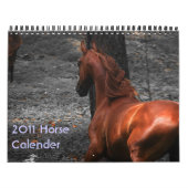 Pferdekalender 2011 kalender (Titelbild)