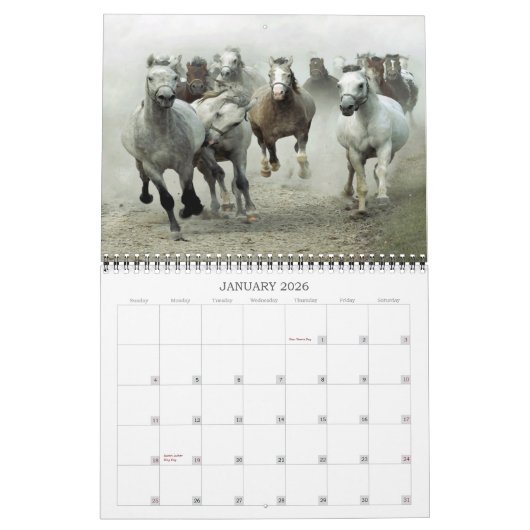 Pferdekalender 2013 kalender (Jan 2026)