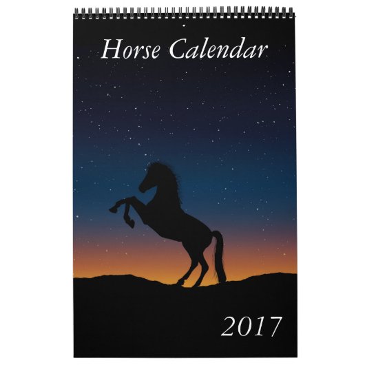 Pferdekalender 2017 kalender (Titelbild)