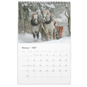 Pferdekalender 2017 kalender (Feb 2027)