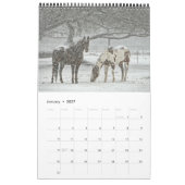 Pferdekalender 2017 kalender (Jan 2027)