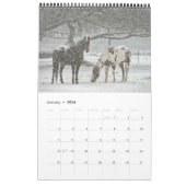 Pferdekalender 2017 kalender (Jan 2026)