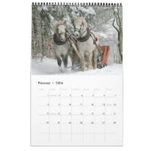Pferdekalender 2017 kalender (Feb 2026)