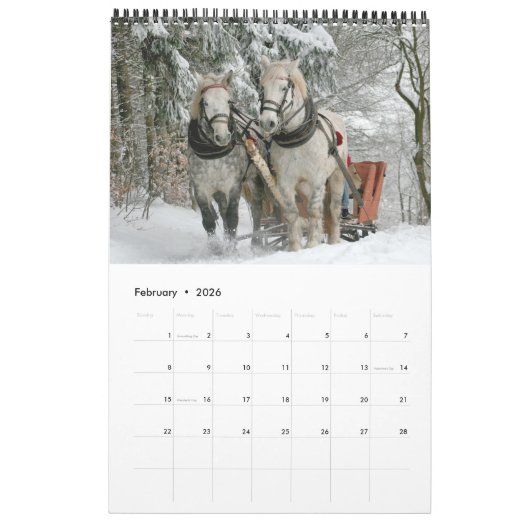 Pferdekalender 2017 kalender (Feb 2026)