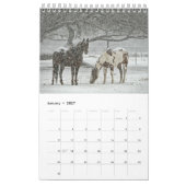 Pferdekalender 2017 kalender (Jan 2027)