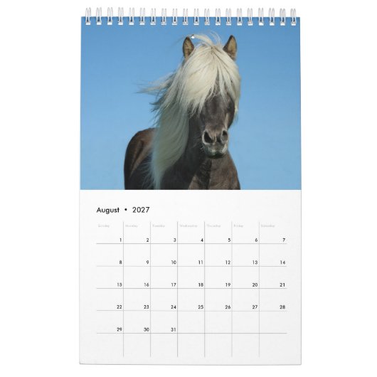 Pferdekalender 2017 kalender (Aug 2027)