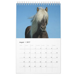 Pferdekalender 2017 kalender