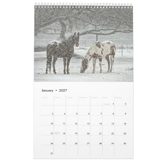 Pferdekalender 2017 kalender (Jan 2027)