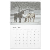 Pferdekalender 2017 kalender (Jan 2026)