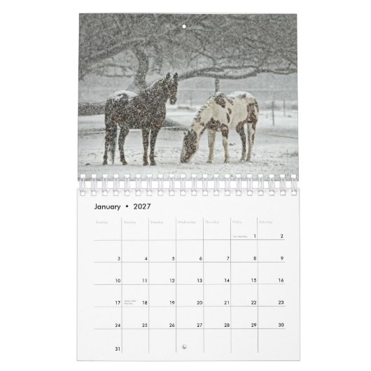 Pferdekalender 2017 kalender (Jan 2027)