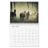 Pferdekalender 2017 kalender (Mär 2027)