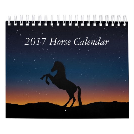 Pferdekalender 2017 kalender (Titelbild)