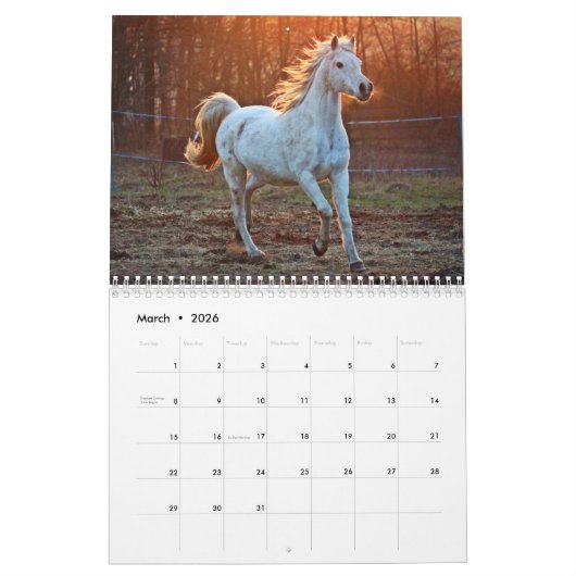 Pferdekalender 2023 Benutzerdefiniert Foto hinzufü Kalender (Mär 2026)