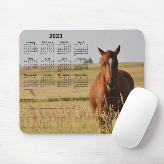 Pferdekalender 2023 von Janz Mousepad (Mit Mouse)