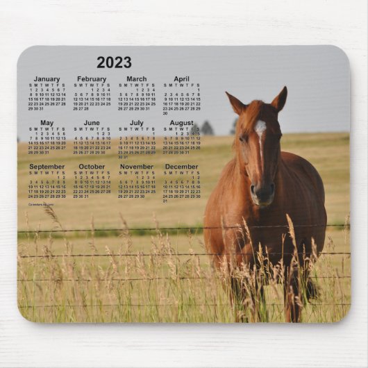 Pferdekalender 2023 von Janz Mousepad (Vorne)