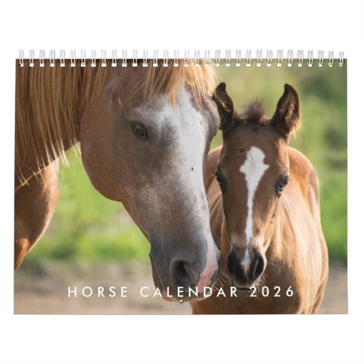 Pferdekalender 2026 mit Fotos Kalender (Titelbild)