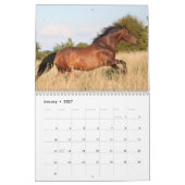 Pferdekalender 2026 mit Fotos Kalender (Jan 2027)