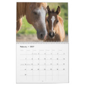 Pferdekalender 2026 mit Fotos Kalender (Feb 2027)