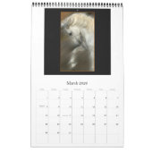 Pferdekalender - andalusisch, friesisches Lipizzan Kalender (Mär 2026)