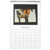 Pferdekalender - andalusisch, friesisches Lipizzan Kalender (Feb 2026)