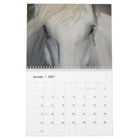 Pferdekalender des Entwurfs-#1 Kalender (Jan 2027)